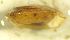  ( - DPER_DS2)  @11 [ ] CCA (2024) University of Lodz Dept of Invertebrate Zoology and Hydrobiology, University of Lodz