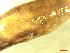  ( - LIM_ZD2)  @11 [ ] CCA (2024) University of Lodz Dept of Invertebrate Zoology and Hydrobiology, University of Lodz