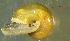  ( - NEHA_RO)  @11 [ ] CCA (2024) University of Lodz Dept of Invertebrate Zoology and Hydrobiology, University of Lodz