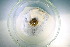  ( - OXGLA_PP08(1))  @11 [ ] CreativeCommons Attribution (2024) Dept of Invertebrate Zoology and Hydrobiology University of Lodz