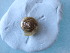  ( - OXY_BP02(1))  @11 [ ] CreativeCommons Attribution (2024) Dept of Invertebrate Zoology and Hydrobiology University of Lodz