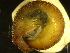  ( - PBIE_KL)  @11 [ ] CCA (2024) University of Lodz Dept of Invertebrate Zoology and Hydrobiology, University of Lodz