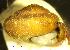  ( - PBIE_KL)  @11 [ ] CCA (2024) University of Lodz Dept of Invertebrate Zoology and Hydrobiology, University of Lodz