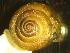  ( - PDIB_KL)  @11 [ ] CCA (2024) University of Lodz Dept of Invertebrate Zoology and Hydrobiology, University of Lodz