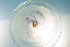  ( - PLUB_PP03(2))  @11 [ ] CreativeCommons Attribution (2024) Dept of Invertebrate Zoology and Hydrobiology University of Lodz