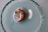  (Tandonia rustica - TRUS_L18(1))  @11 [ ] CreativeCommons Attribution (2024) Dept of Invertebrate Zoology and Hydrobiology University of Lodz