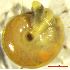  ( - ZARB_LD1)  @11 [ ] CCA (2024) University of Lodz Dept of Invertebrate Zoology and Hydrobiology, University of Lodz