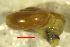  ( - ZARB_LD1)  @11 [ ] CCA (2024) University of Lodz Dept of Invertebrate Zoology and Hydrobiology, University of Lodz