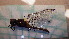  ( - ODOPL_202)  @11 [ ] CreativeCommons - Attribution Non-Commercial No Derivatives (2020) Sylwia Wozniak University of Lodz, Faculty of Biology and Environmental Protection