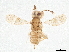  ( - BIOUG61664-F09)  @11 [ ] CreativeCommons - Attribution (2022) CBG Photography Group Centre for Biodiversity Genomics