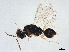  ( - BIOUG61464-G01)  @11 [ ] CreativeCommons - Attribution (2022) CBG Photography Group Centre for Biodiversity Genomics