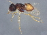  ( - BIOUG56306-A03)  @11 [ ] CreativeCommons - Attribution (2022) CBG Photography Group Centre for Biodiversity Genomics