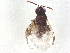  ( - BIOUG55941-E07)  @11 [ ] CreativeCommons - Attribution (2022) CBG Photography Group Centre for Biodiversity Genomics
