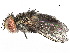  ( - BIOUG53730-E11)  @11 [ ] CreativeCommons - Attribution (2020) CBG Photography Group Centre for Biodiversity Genomics