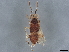  ( - BIOUG54568-G05)  @11 [ ] CreativeCommons - Attribution (2022) CBG Photography Group Centre for Biodiversity Genomics
