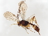  ( - BIOUG55890-H06)  @11 [ ] CreativeCommons - Attribution (2021) CBG Photography Group Centre for Biodiversity Genomics