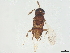  ( - BIOUG64971-C01)  @11 [ ] CreativeCommons - Attribution (2022) CBG Photography Group Centre for Biodiversity Genomics
