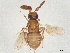  ( - BIOUG62791-E09)  @11 [ ] CreativeCommons - Attribution (2022) CBG Photography Group Centre for Biodiversity Genomics