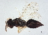  ( - BIOUG61354-C05)  @11 [ ] CreativeCommons - Attribution (2022) CBG Photography Group Centre for Biodiversity Genomics