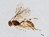  ( - BIOUG61370-H08)  @11 [ ] CreativeCommons - Attribution (2021) CBG Photography Group Centre for Biodiversity Genomics