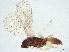  ( - BIOUG62122-G02)  @11 [ ] CreativeCommons - Attribution (2022) CBG Photography Group Centre for Biodiversity Genomics