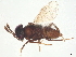  ( - BIOUG55548-E09)  @11 [ ] CreativeCommons - Attribution (2022) CBG Photography Group Centre for Biodiversity Genomics