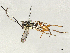  (crypMalaise01 Malaise5313 - BIOUG56804-C08)  @11 [ ] CreativeCommons - Attribution Share - Alike (2025) CBG Photography Group Centre for Biodiversity Genomics