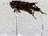  ( - BIOUG73017-B05)  @11 [ ] CreativeCommons - Attribution (2021) CBG Photography Group Centre for Biodiversity Genomics