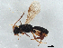  ( - BIOUG56077-D11)  @11 [ ] CreativeCommons - Attribution (2021) CBG Photography Group Centre for Biodiversity Genomics