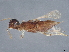  ( - BIOUG56081-B03)  @11 [ ] CreativeCommons - Attribution (2022) CBG Photography Group Centre for Biodiversity Genomics