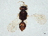  ( - BIOUG56346-H02)  @11 [ ] CreativeCommons - Attribution (2022) CBG Photography Group Centre for Biodiversity Genomics