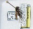  ( - PMAE0082)  @13 [ ] Unspecified (default): All Rights Reserved  Unspecified Unspecified