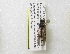  ( - PMAE0090)  @12 [ ] Unspecified (default): All Rights Reserved  Unspecified Unspecified