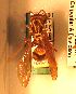  ( - PMAE0100)  @12 [ ] Unspecified (default): All Rights Reserved  Unspecified Unspecified