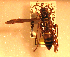  ( - PMAE0123)  @12 [ ] Unspecified (default): All Rights Reserved  Unspecified Unspecified