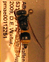  ( - PMAE0185)  @12 [ ] Unspecified (default): All Rights Reserved  Unspecified Unspecified