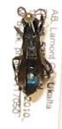  ( - PMAE0222)  @11 [ ] Unspecified (default): All Rights Reserved  Unspecified Unspecified