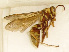 ( - PMAE0284)  @13 [ ] Unspecified (default): All Rights Reserved  Unspecified Unspecified