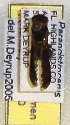  ( - PMAE0310)  @11 [ ] Unspecified (default): All Rights Reserved  Unspecified Unspecified
