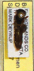  (Stenodynerus histrionalis - PMAE0317)  @12 [ ] Unspecified (default): All Rights Reserved  Unspecified Unspecified