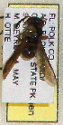  (Stenodynerus australis - PMAE0326)  @12 [ ] Unspecified (default): All Rights Reserved  Unspecified Unspecified
