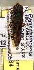  ( - PMAE0334)  @12 [ ] Unspecified (default): All Rights Reserved  Unspecified Unspecified