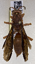  ( - PMAE0652)  @13 [ ] CreativeCommons - Attribution Non-Commercial Share-Alike (2017) Royal Alberta Museum Royal Alberta Museum
