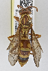  ( - PMAE0725)  @13 [ ] CreativeCommons - Attribution Non-Commercial Share-Alike (2019) Royal Alberta Museum Royal Alberta Museum