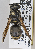  ( - PMAE0739)  @11 [ ] CreativeCommons - Attribution Non-Commercial Share-Alike (2019) Royal Alberta Museum Royal Alberta Museum