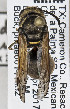  ( - PMAE0741)  @11 [ ] CreativeCommons - Attribution Non-Commercial Share-Alike (2019) Royal Alberta Museum Royal Alberta Museum