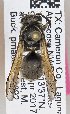  ( - PMAE0742)  @13 [ ] CreativeCommons - Attribution Non-Commercial Share-Alike (2019) Royal Alberta Museum Royal Alberta Museum