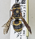  ( - PMAE0748)  @11 [ ] CreativeCommons - Attribution Non-Commercial Share-Alike (2019) Royal Alberta Museum Royal Alberta Museum