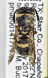  ( - PMAE0761)  @11 [ ] CreativeCommons - Attribution Non-Commercial Share-Alike (2019) Royal Alberta Museum Royal Alberta Museum