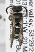  ( - PMAE0771)  @13 [ ] CreativeCommons - Attribution Non-Commercial Share-Alike (2019) Royal Alberta Museum Royal Alberta Museum